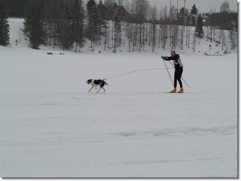Nästa bild